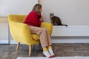 Top Radiator Styles to Complement Modern Interiors